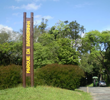 desentupidora curitiba barreirinha