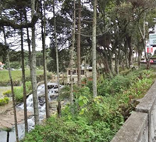 desentupidora curitiba cascatinha