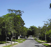 desentupidora curitiba jardim social