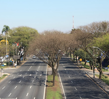 desentupidora curitiba taruma